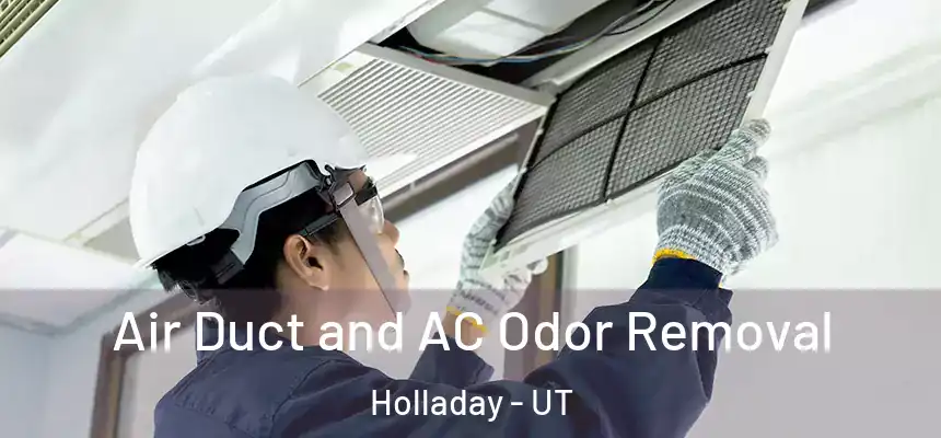  Air Duct and AC Odor Removal Holladay - UT