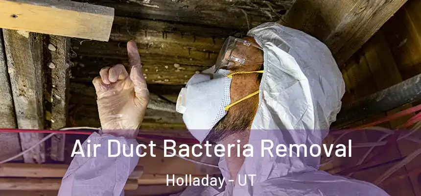  Air Duct Bacteria Removal Holladay - UT