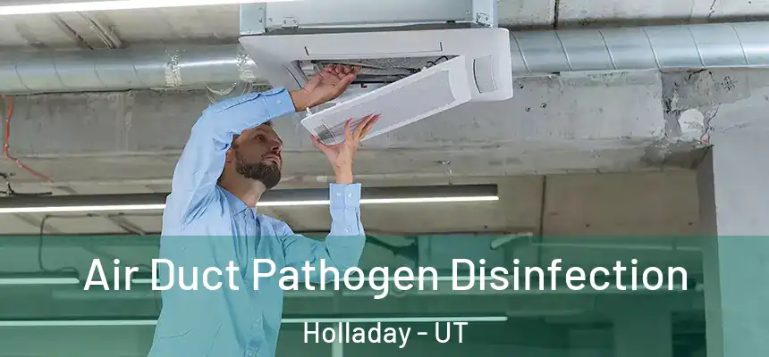  Air Duct Pathogen Disinfection Holladay - UT