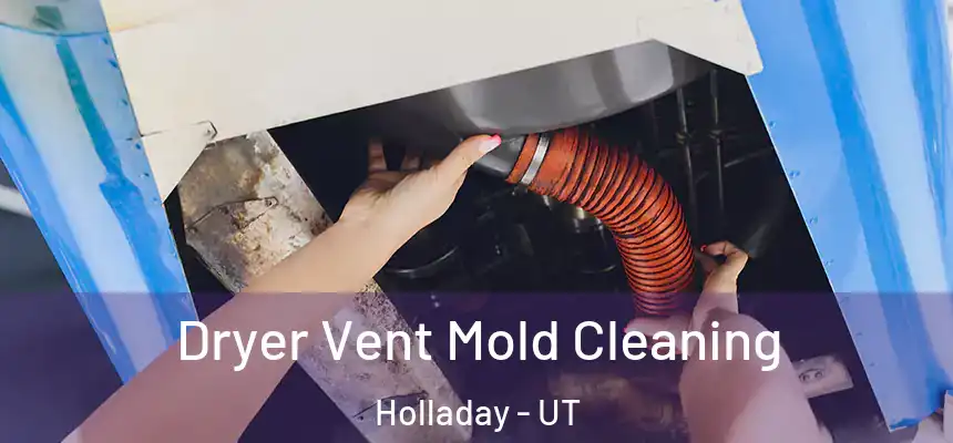 Dryer Vent Mold Cleaning Holladay - UT
