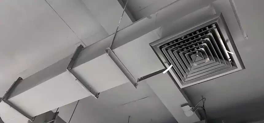 Our Pest Removal From Ducts Services in Holladay, UT