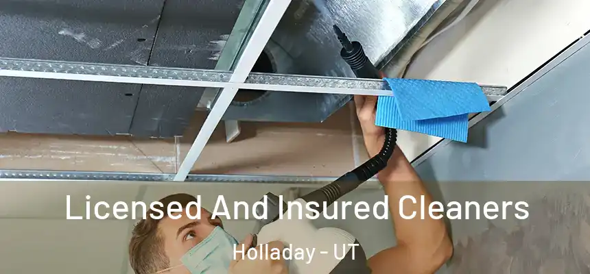 Licensed And Insured Cleaners Holladay - UT