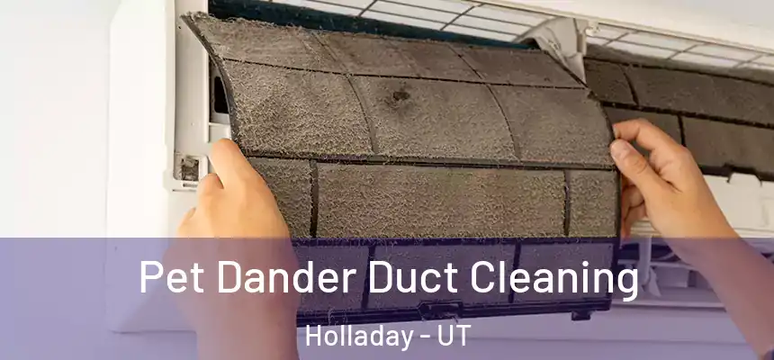Pet Dander Duct Cleaning Holladay - UT
