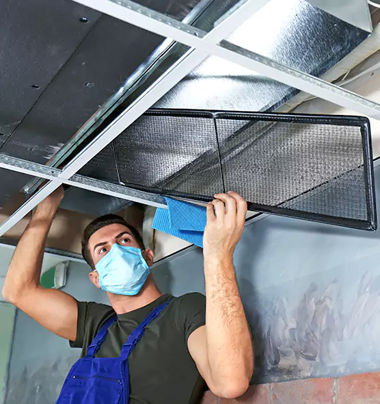 About Air Duct Bacteria Removal in Holladay