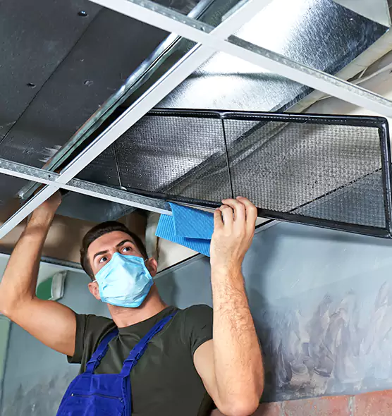 Professional Air Duct Pollen Cleaning in Holladay, UT