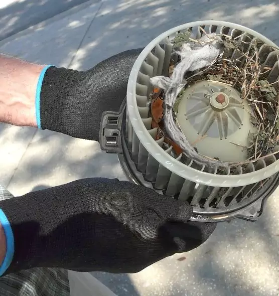 About Air Duct Rat Removal in Holladay, UT