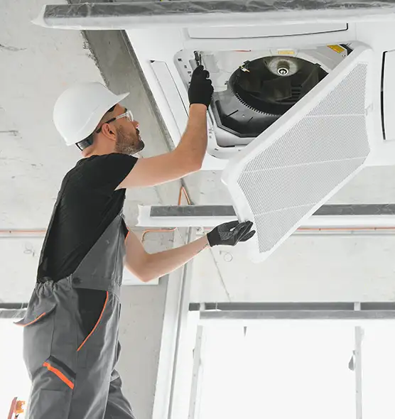 About Air Duct Rodent Removal in Holladay, UT