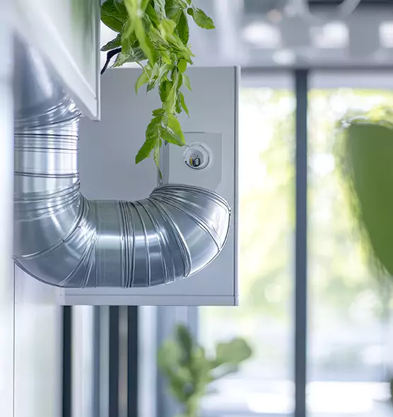 Professional Eco-Friendly Duct Cleaning Services in Holladay, UT