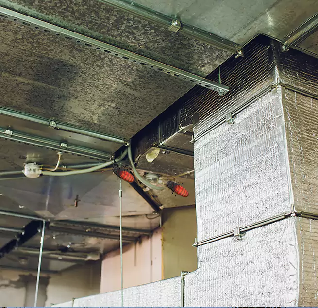 Why Homeowners & Businesses Trust Us in Holladay, UT?