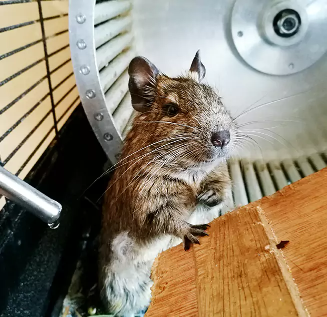 Why Homeowners & Businesses Trust Us Holladay, UT