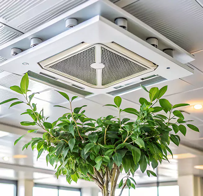 Why Homeowners & Businesses Trust Us in Holladay, UT?