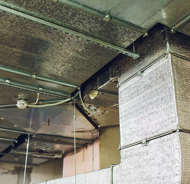 Why Homeowners & Businesses Trust Us in Holladay, UT?